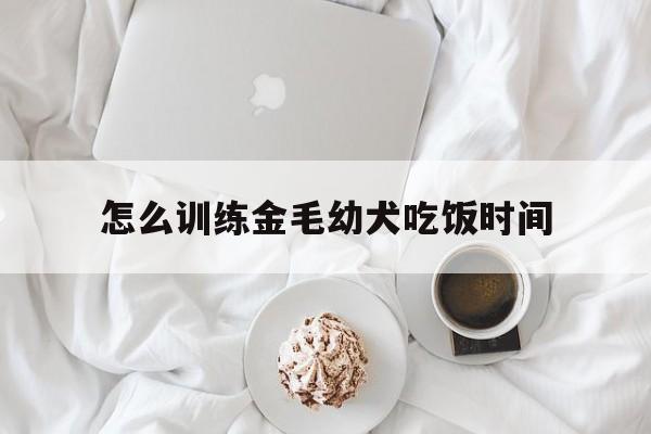 怎么训练金毛幼犬吃饭时间(怎么训练金毛幼犬吃饭时间长)