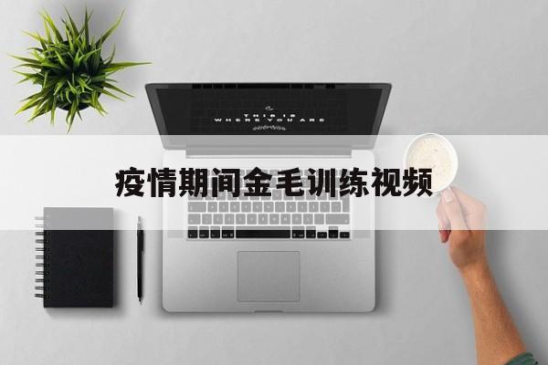 疫情期间金毛训练视频(金毛训练视频教程全套免费)