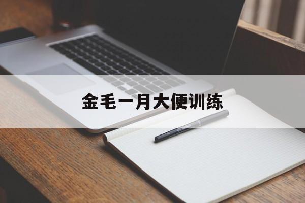 金毛一月大便训练(金毛幼犬便便怎么算正常)