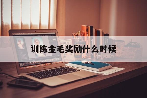 训练金毛奖励什么时候(金毛训练多久能学会指令)