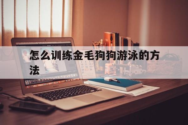 怎么训练金毛狗狗游泳的方法(怎么训练金毛狗狗游泳的方法视频)