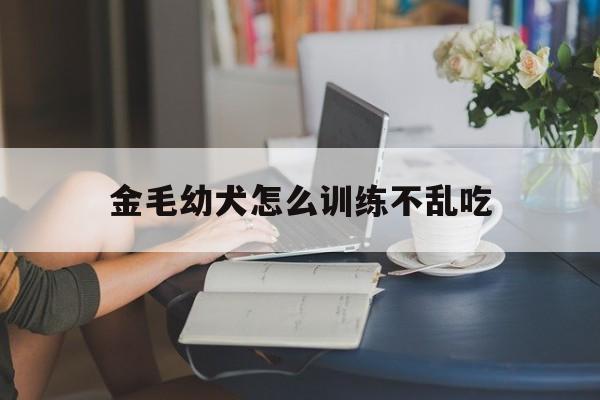 金毛幼犬怎么训练不乱吃(金毛幼崽怎么训练不乱拉尿)