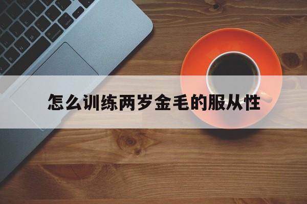 怎么训练两岁金毛的服从性(能给我找怎么训练金毛对了方法?)