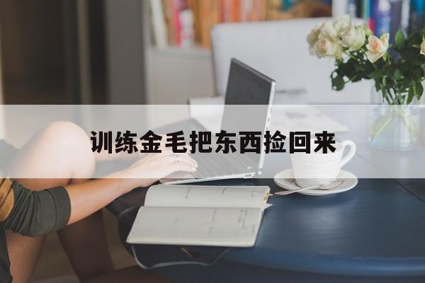 训练金毛把东西捡回来(金毛怎么训练把东西叼回来)