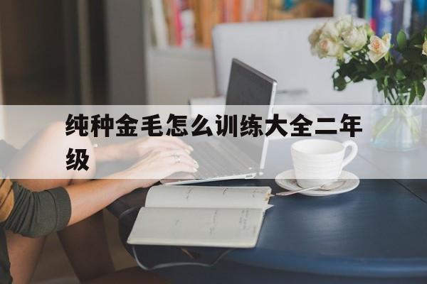 纯种金毛怎么训练大全二年级(金毛训练的正确方法,你知道吗?)