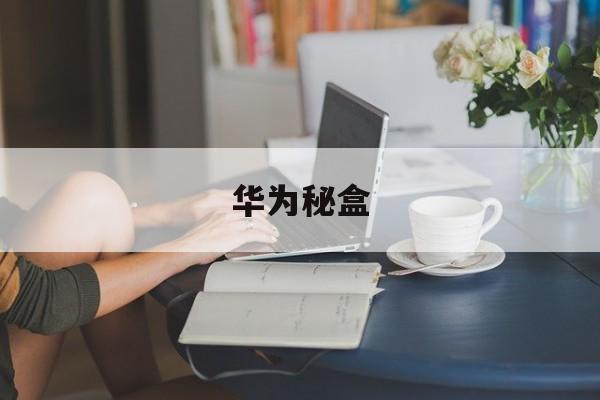 华为秘盒(华为秘盒m310升级到50)