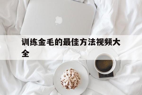 训练金毛的最佳方法视频大全(能给我找怎么训练金毛对了方法?)