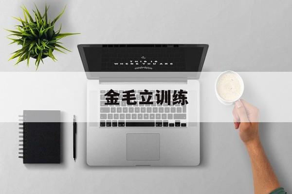 金毛立训练(金毛犬训练方视频教程)