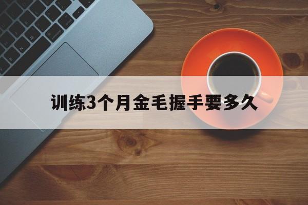 训练3个月金毛握手要多久(训练3个月金毛握手要多久才好)