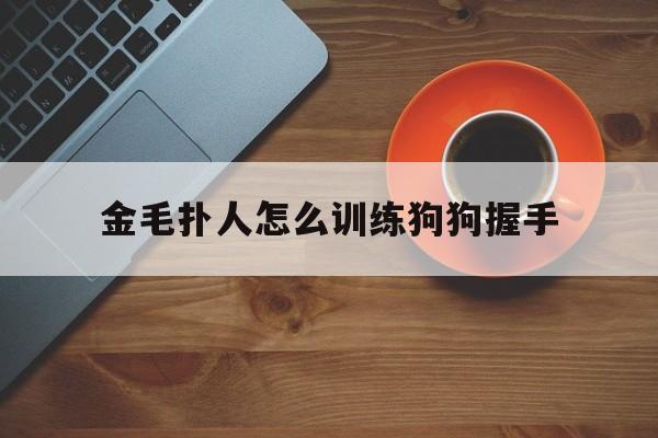 金毛扑人怎么训练狗狗握手(金毛扑人怎么训练狗狗握手姿势)