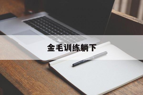 金毛训练躺下(如何训练金毛坐卧趴下)
