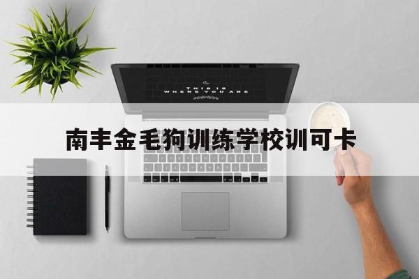 南丰金毛狗训练学校训可卡的简单介绍
