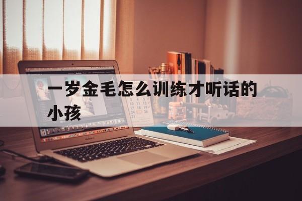 一岁金毛怎么训练才听话的小孩(金毛狗一岁了怎么训练能听懂人话)