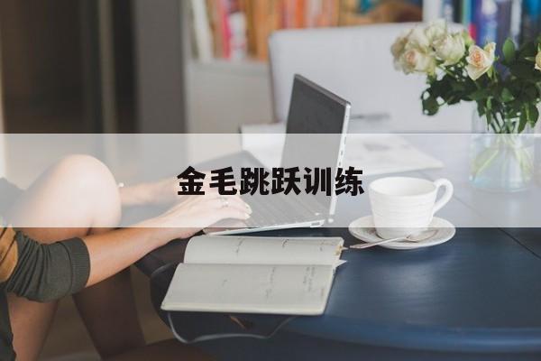 金毛跳跃训练(金毛训练教学视频)
