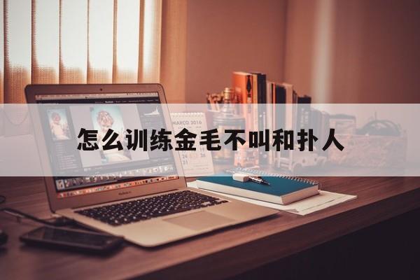 怎么训练金毛不叫和扑人(怎么训练金毛不随地大小便)