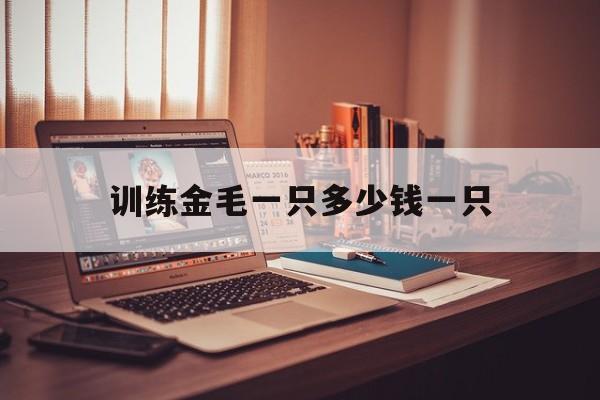 训练金毛一只多少钱一只(训练金毛一只多少钱一只幼犬)