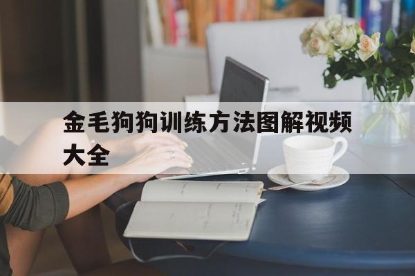 金毛狗狗训练方法图解视频大全(金毛训练的正确方法,你知道吗?)