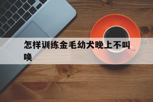怎样训练金毛幼犬晚上不叫唤(怎样训练金毛幼犬晚上不叫唤呢)
