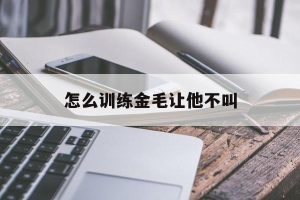 怎么训练金毛让他不叫(如何训练金毛幼犬不乱叫)