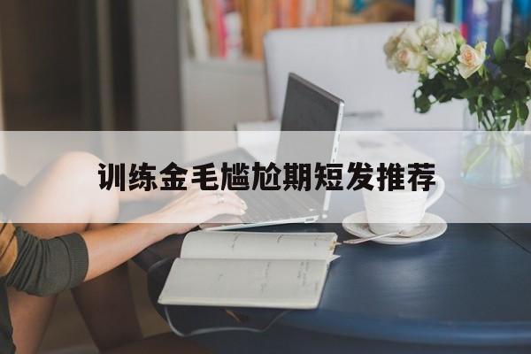 关于训练金毛尴尬期短发推荐的信息