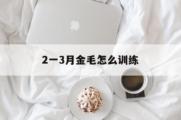 2一3月金毛怎么训练(两个月金毛怎么训练视频)