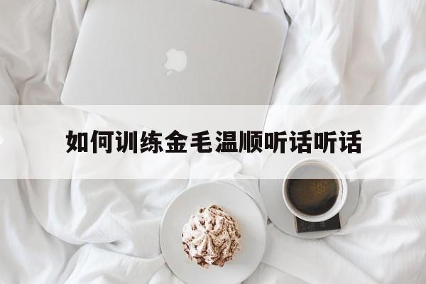 如何训练金毛温顺听话听话(如何训练金毛温顺听话听话的能力)