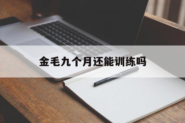 金毛九个月还能训练吗(金毛九个月了还能长个子吗)