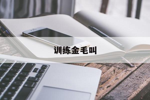 训练金毛叫(金毛怎么训练叫声)