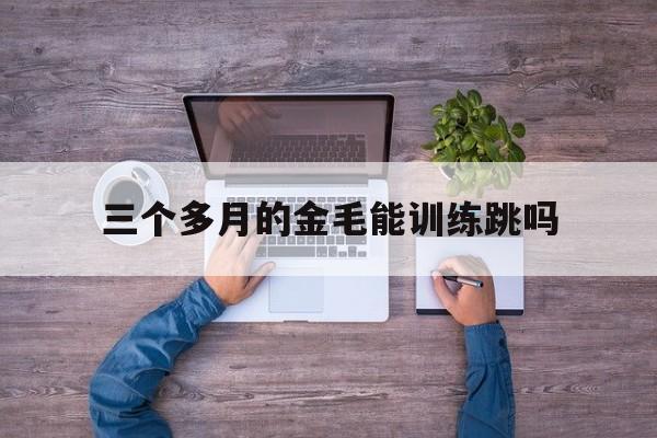 三个多月的金毛能训练跳吗(3个月的小金毛能带出去跑步吗)