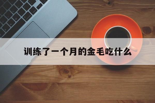 训练了一个月的金毛吃什么(一个月大的金毛犬喂什么合适?)