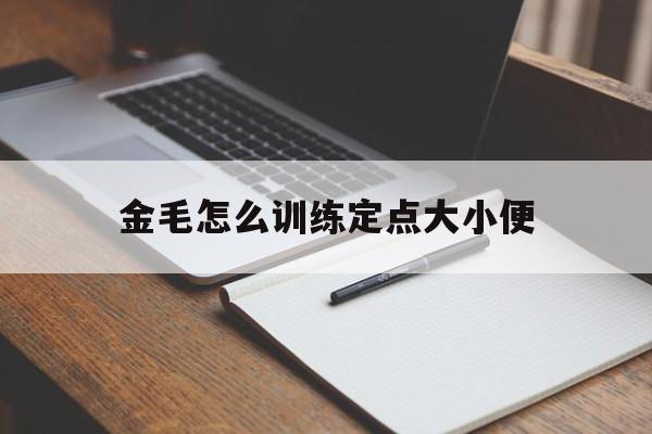 金毛怎么训练定点大小便(金毛怎么训练定点大小便的方法)