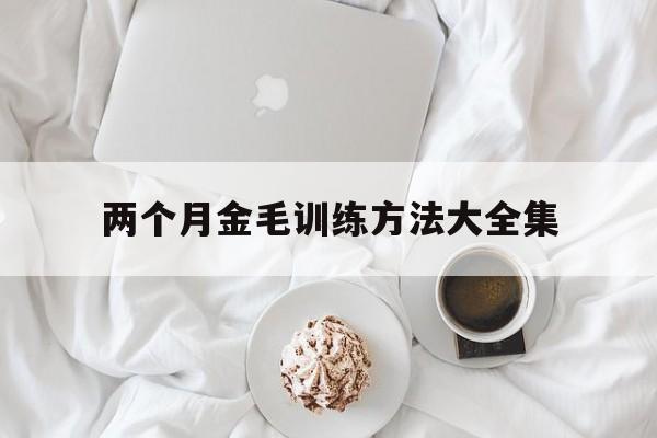 两个月金毛训练方法大全集(两个月金毛犬怎么训练大小便)