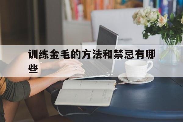 训练金毛的方法和禁忌有哪些(训练金毛的方法和禁忌有哪些图片)