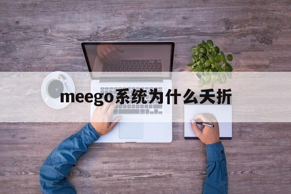关于meego系统为什么夭折的信息