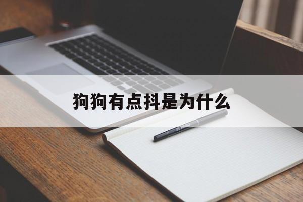 狗狗有点抖是为什么(狗狗有点抖好像不舒服)