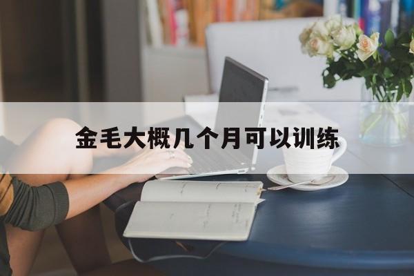 金毛大概几个月可以训练(金毛犬几个月开始训练大小便)