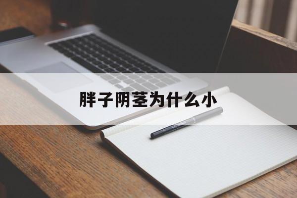 包含胖子阴茎为什么小的词条
