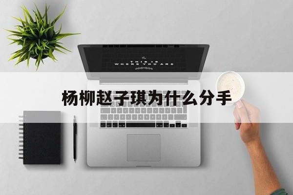 杨柳赵子琪为什么分手(赵子琪的第一个老公杨柳)