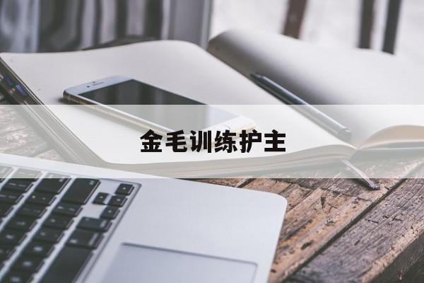 金毛训练护主(怎么教金毛护主)