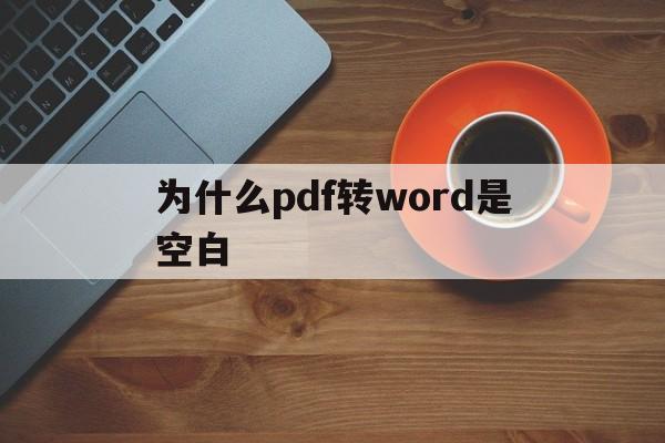 为什么pdf转word是空白(为什么pdf转换成word是空白)