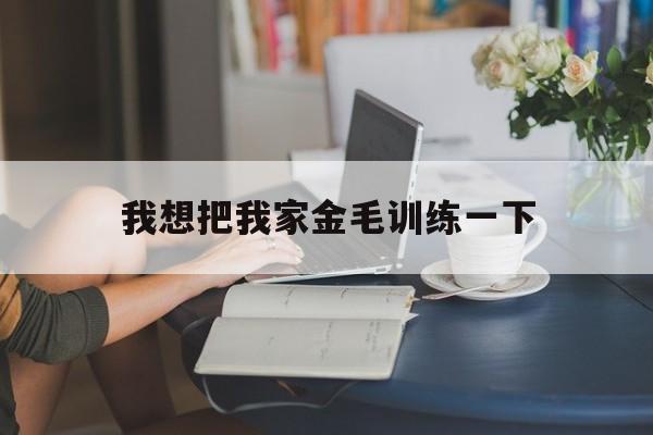 我想把我家金毛训练一下(看看金毛吧的高手如何训练金毛犬)