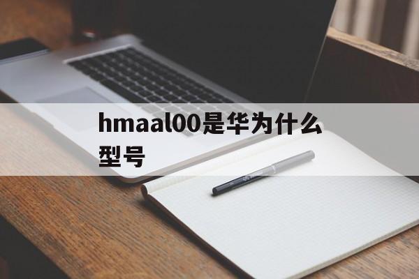 hmaal00是华为什么型号(jkmal00b是华为什么型号)