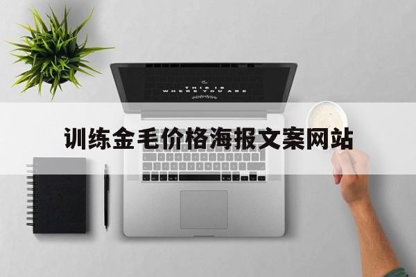 训练金毛价格海报文案网站的简单介绍