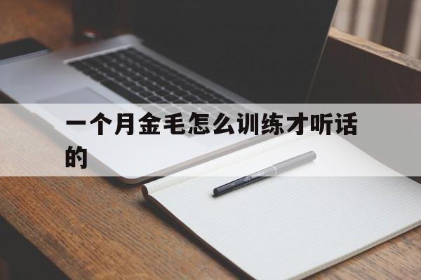 一个月金毛怎么训练才听话的(一个月金毛怎么训练才听话的呢)