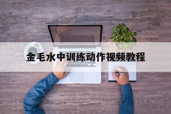 金毛水中训练动作视频教程的简单介绍