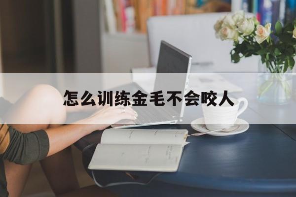 怎么训练金毛不会咬人(怎么训练金毛不会咬人视频)
