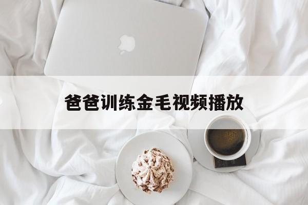 爸爸训练金毛视频播放(爸爸训练金毛视频播放下载)