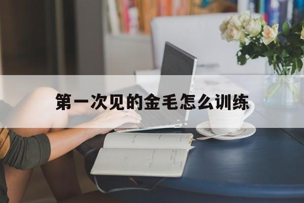 第一次见的金毛怎么训练(第一次见金毛犬应怎么相处)