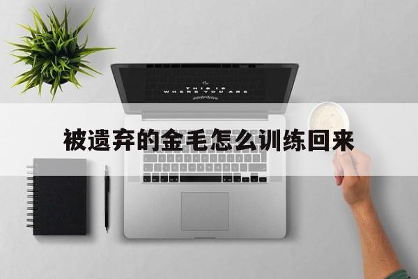 被遗弃的金毛怎么训练回来(金毛被遗弃,找到主人咬一口)
