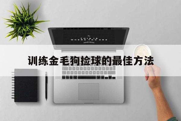 训练金毛狗捡球的最佳方法的简单介绍